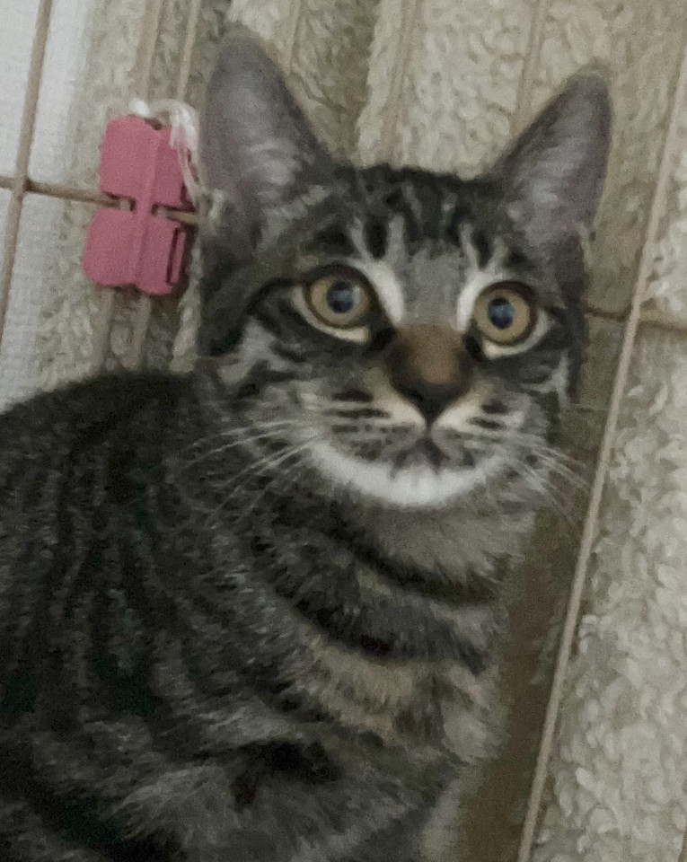 探検大好きパックン3・5カ月