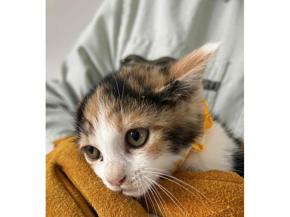 畑で暮らしていた兄弟?