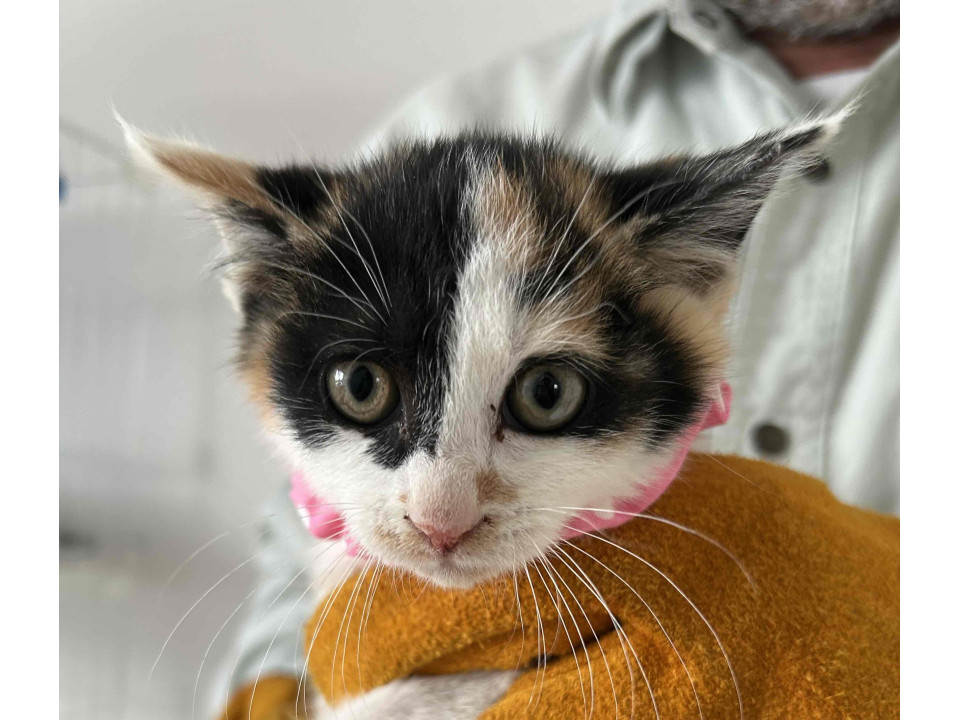 畑で暮らしていた兄弟?