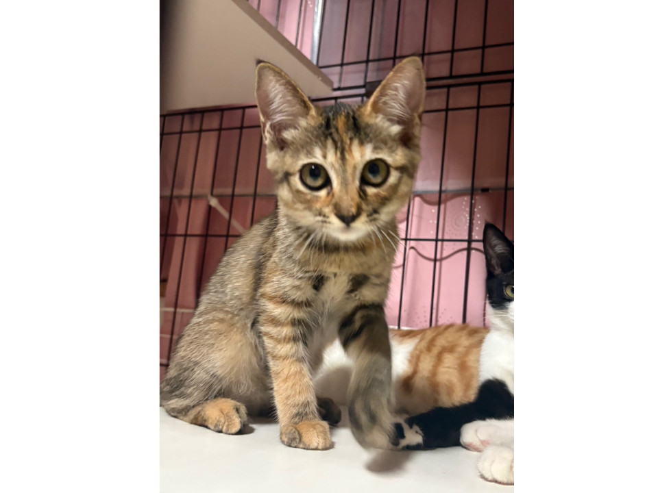 まん丸お目目のイケイケ女子きらら♀