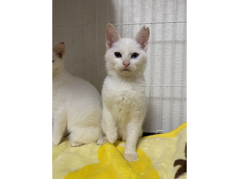 実物は倍可愛い♡