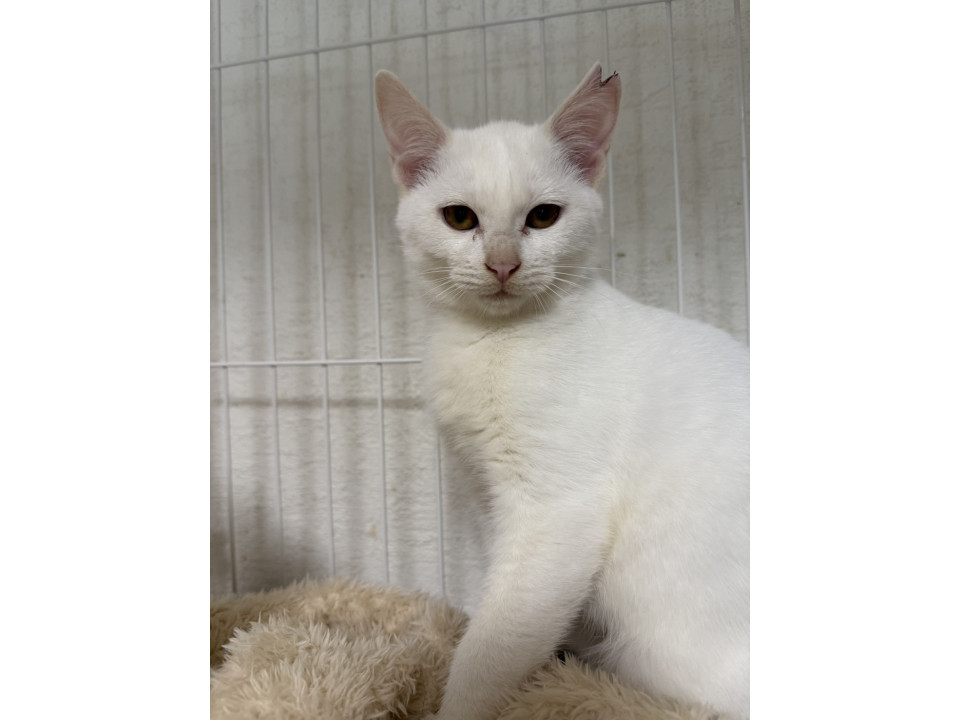 実物は倍可愛い♡