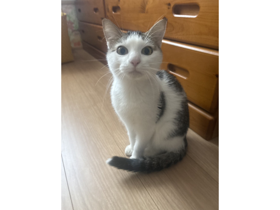 かわいいつきちゃん❣️