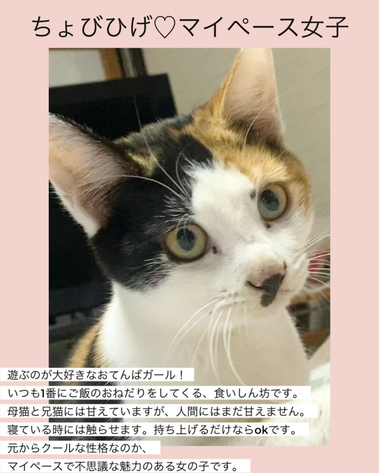 ちょびひげ♡マイペース女子