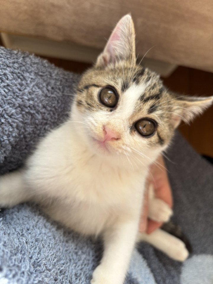 甘え上手でキュンキュンさせちゃうぞ♡