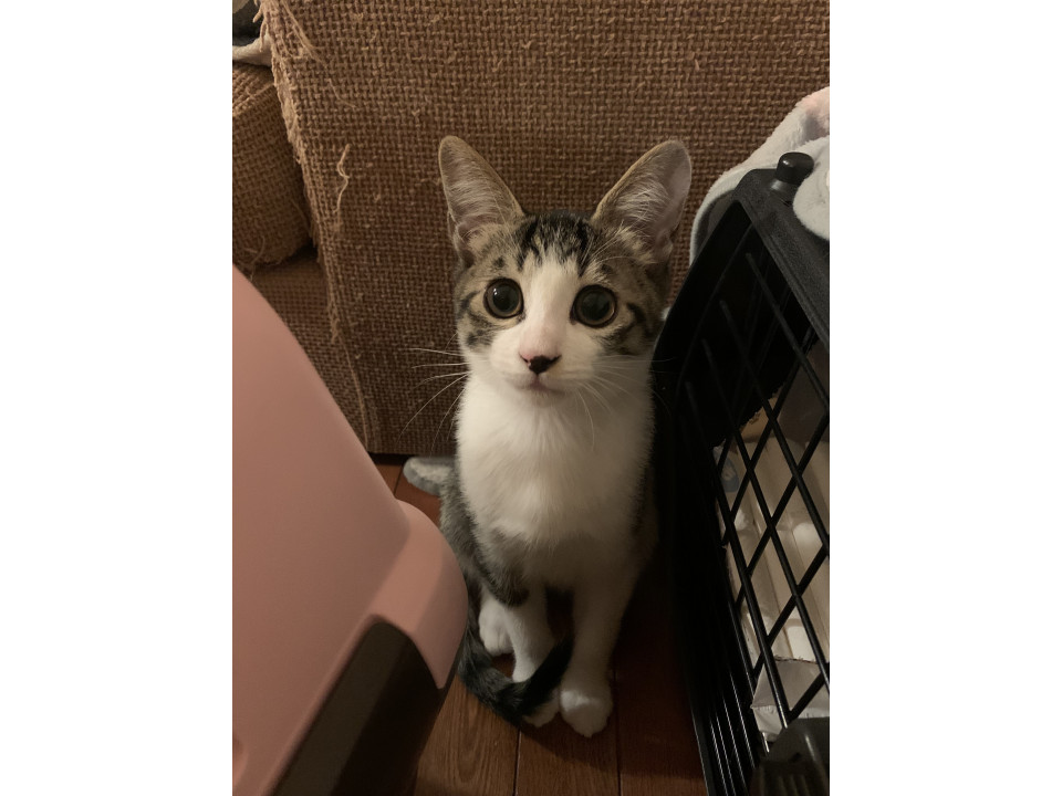 甘えん坊の男の子♡