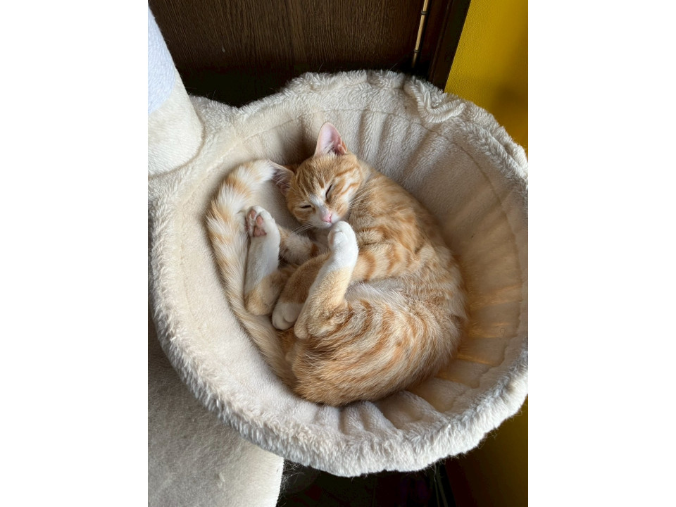 甘えん坊の女の子！