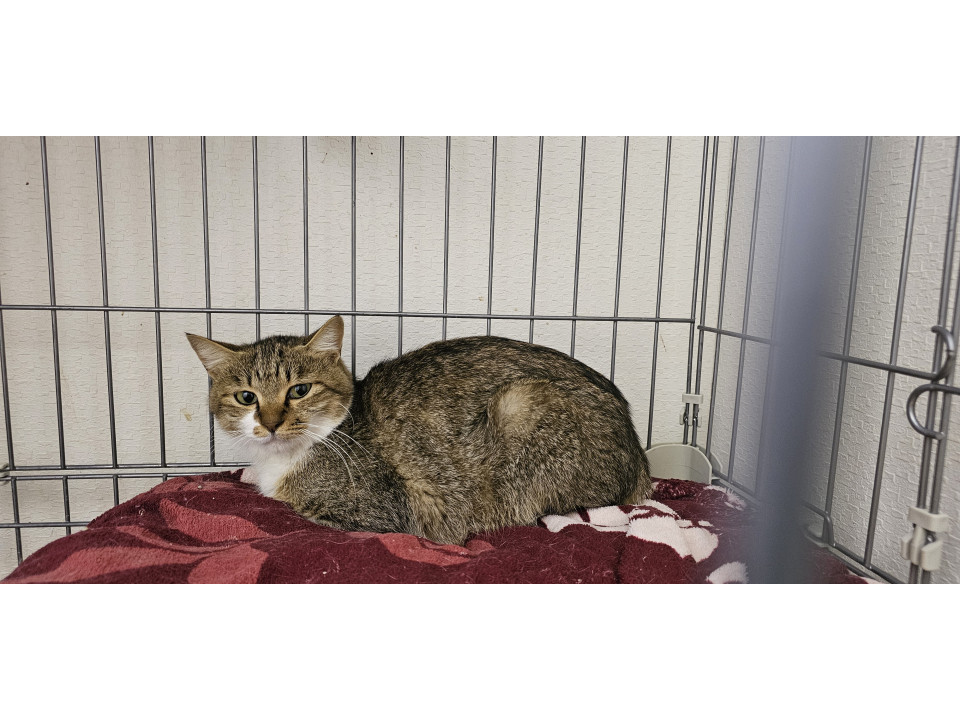 育児をがんばってきたお母さん