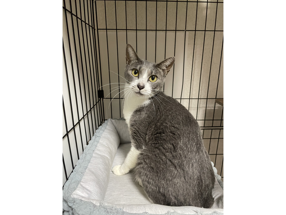 人が大好きで甘えん坊な女の子