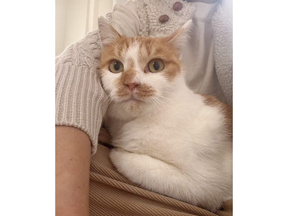 穏やかなポカポカ陽気なポカ君♡