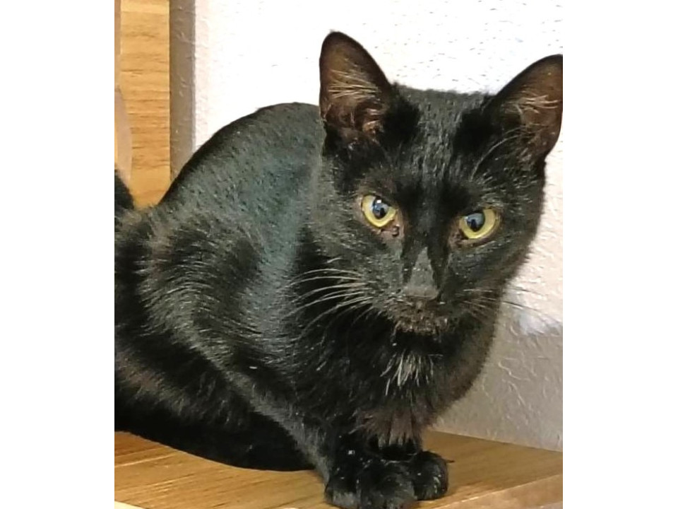 おっかさんとこつぶ家族一緒に♡