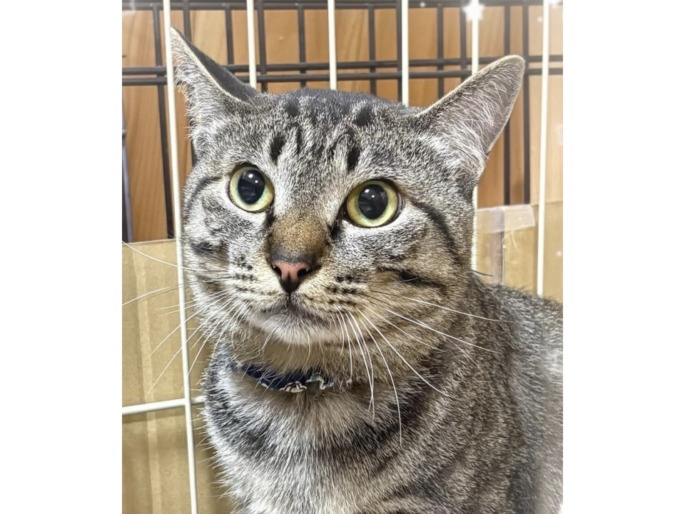 綺麗な瞳の大和くん　人慣れバッチリ✨