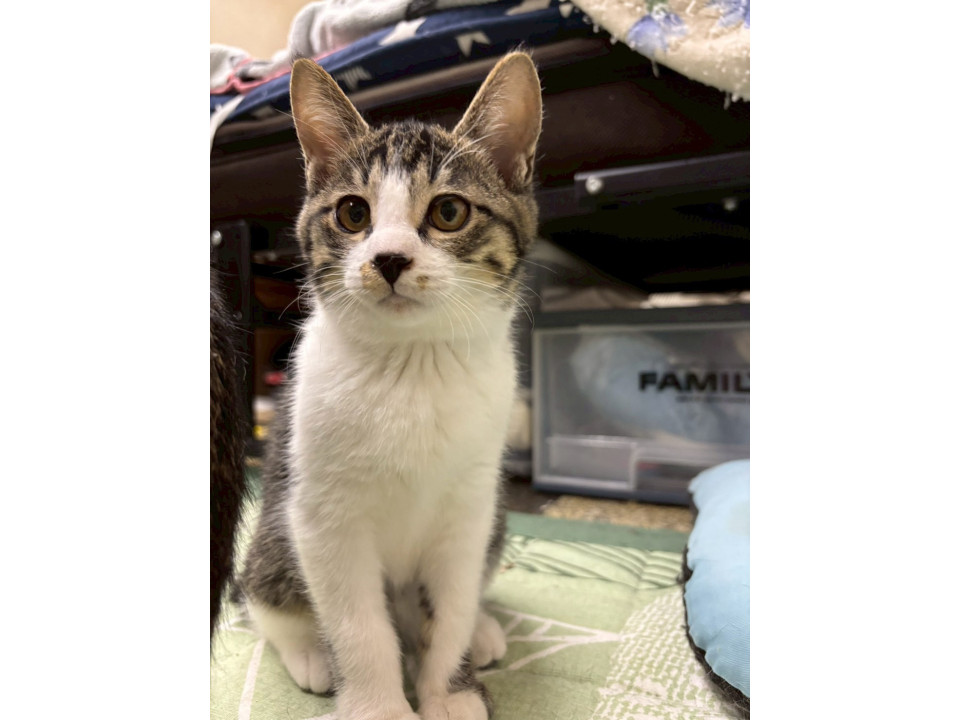 遊ぶの大好き♡ジジちゃん