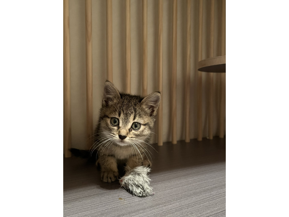 しっかり肌のお姉ちゃん