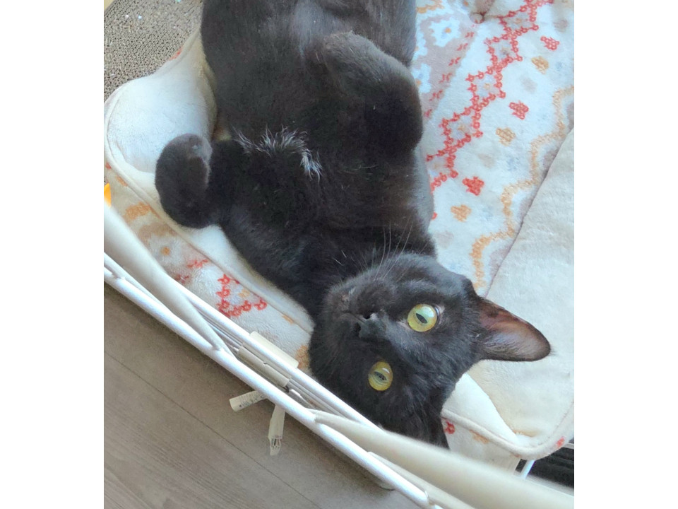 人馴れ抜群の男の子♪