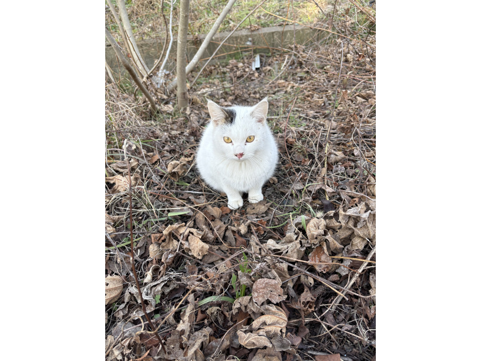 寒いお外で頑張ってる子です