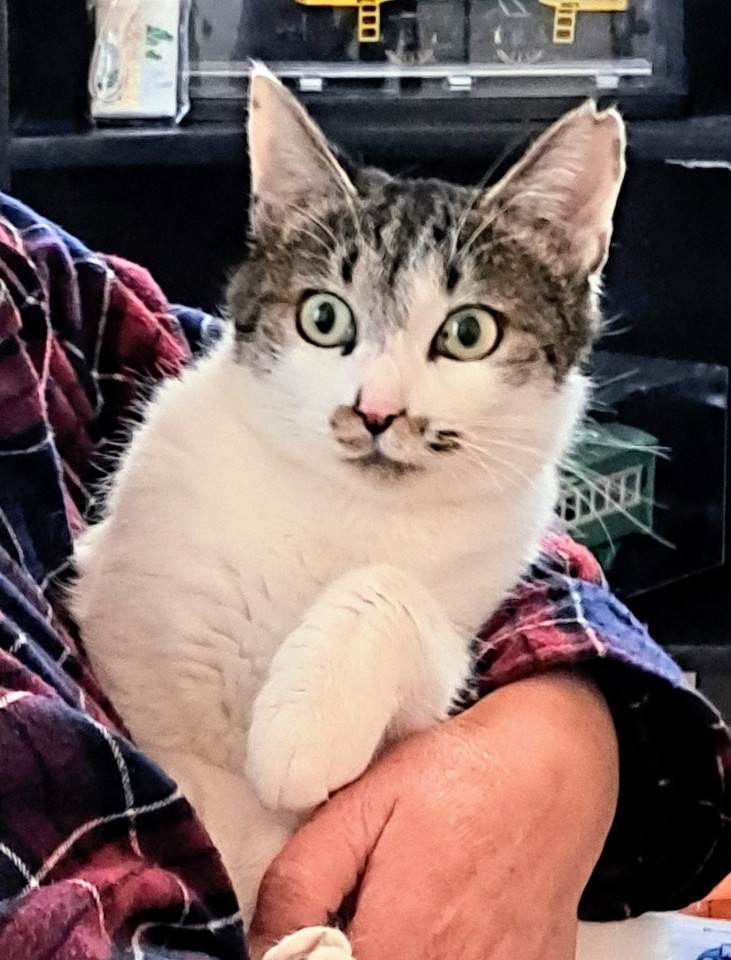 常に足元いる寂しがりやです(-_-;)