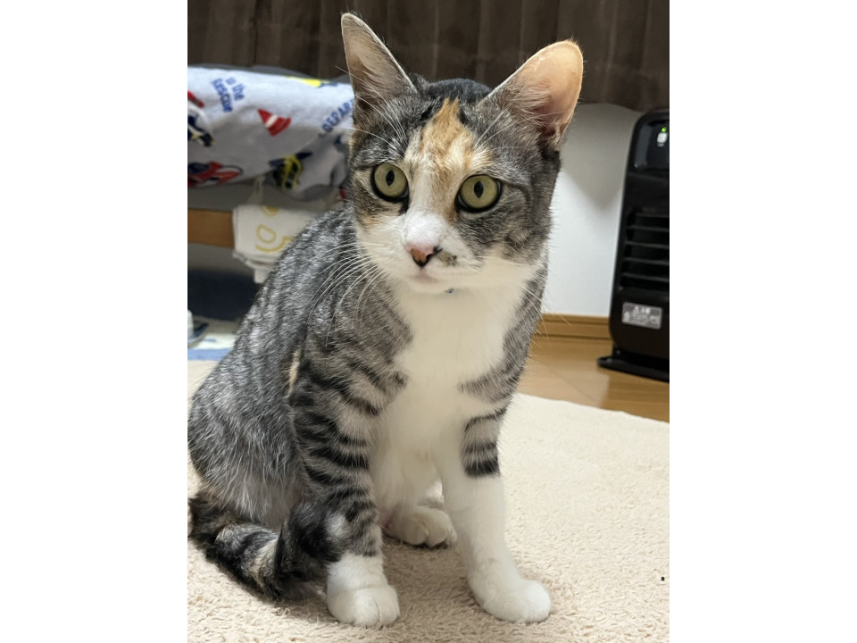 美形女子の美海ちゃん