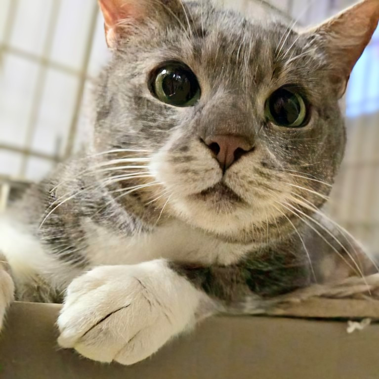 ◆くりくりお目めのかわいこちゃん◆