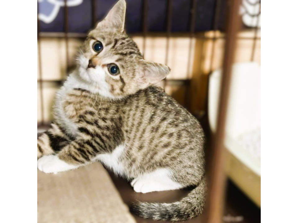 ◆12/27◆シャイだけど甘えたい❤