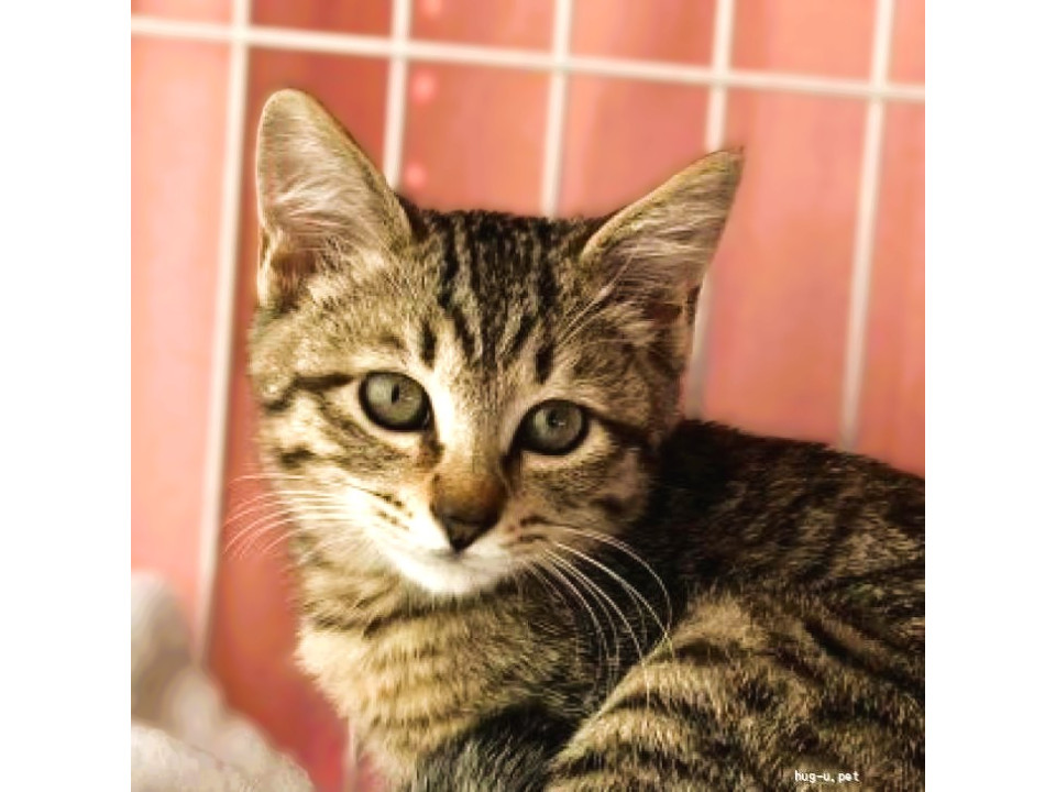 ◆12/27◆少し怖がり遊ぶの大好き❤