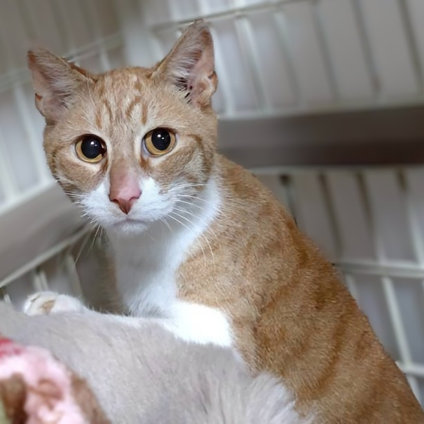 ◆優しいオハナくん◆