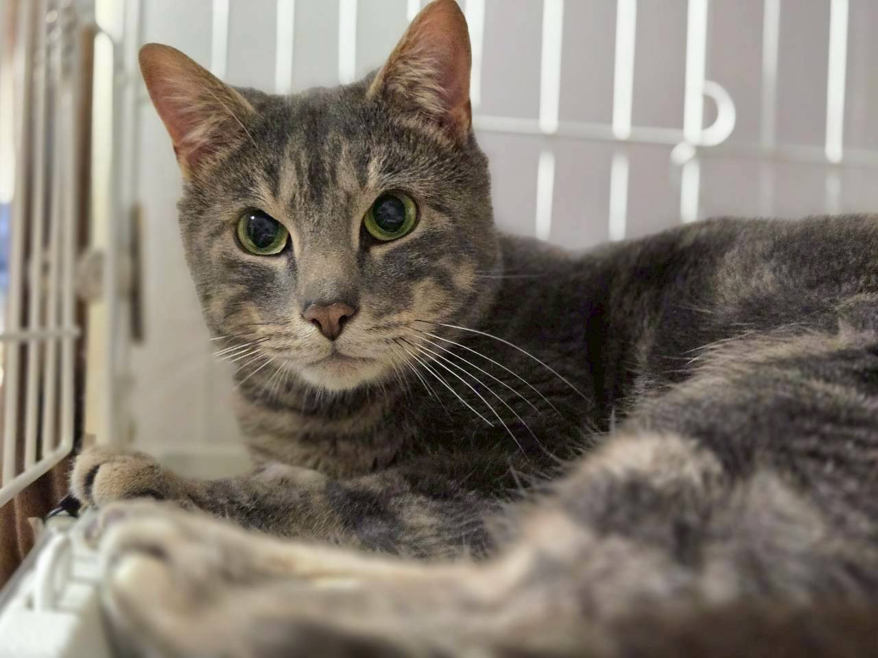 ◆イケメンボーイ♡ヤサイ◆