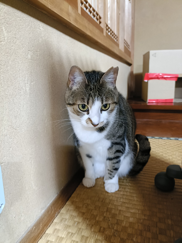 小顔パッチリお目々のニコちゃん