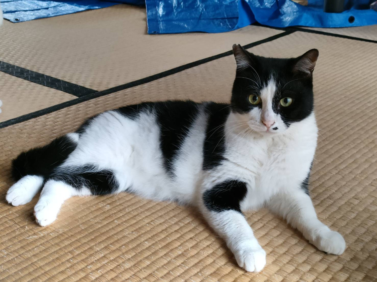 物静かな好奇心旺盛男子　ムロくん