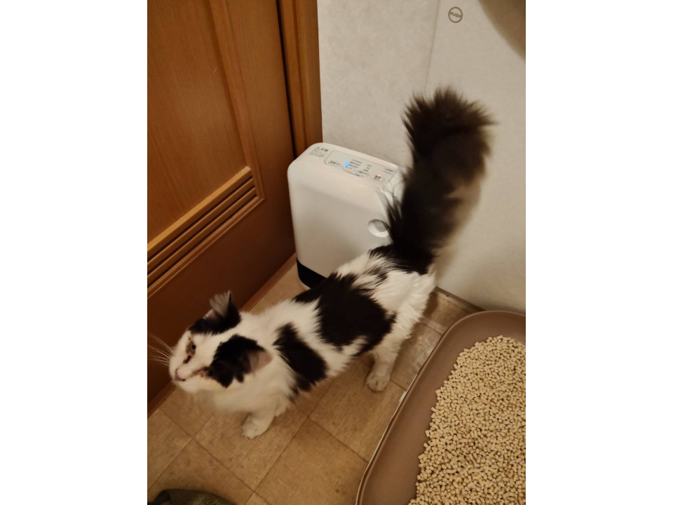 シロクロ男の子