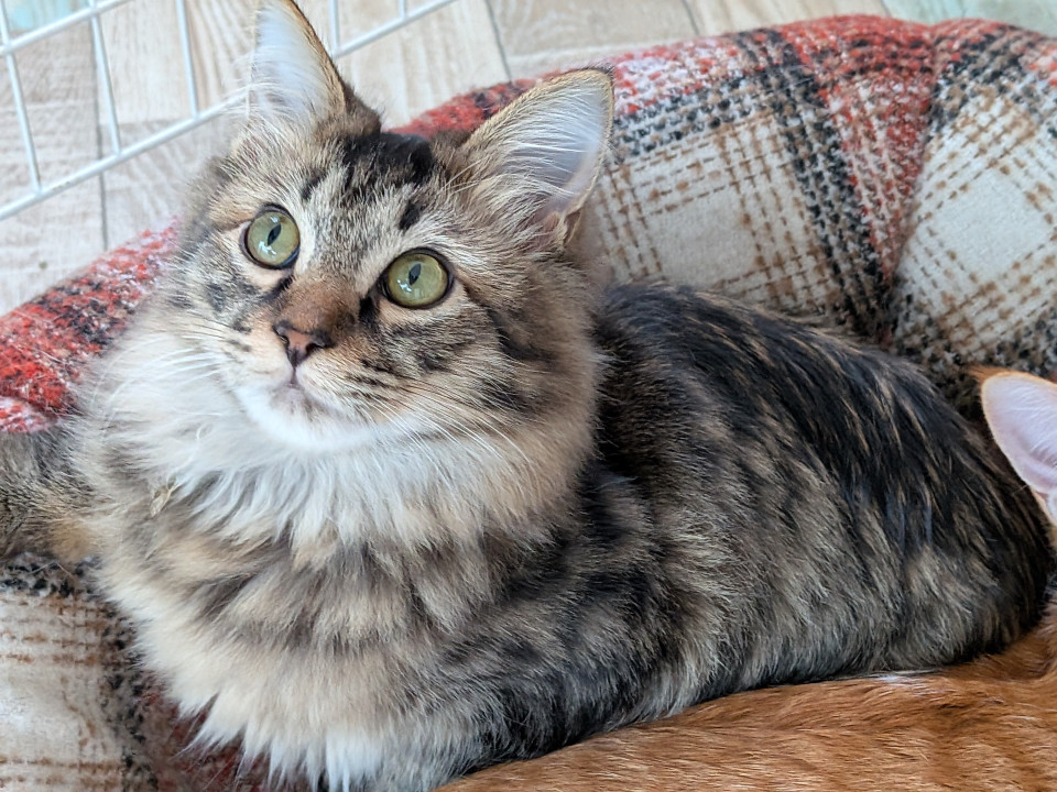 7月１日生まれの兄弟です