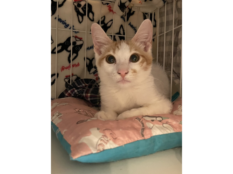 甘えん坊くんのむぅくん♡