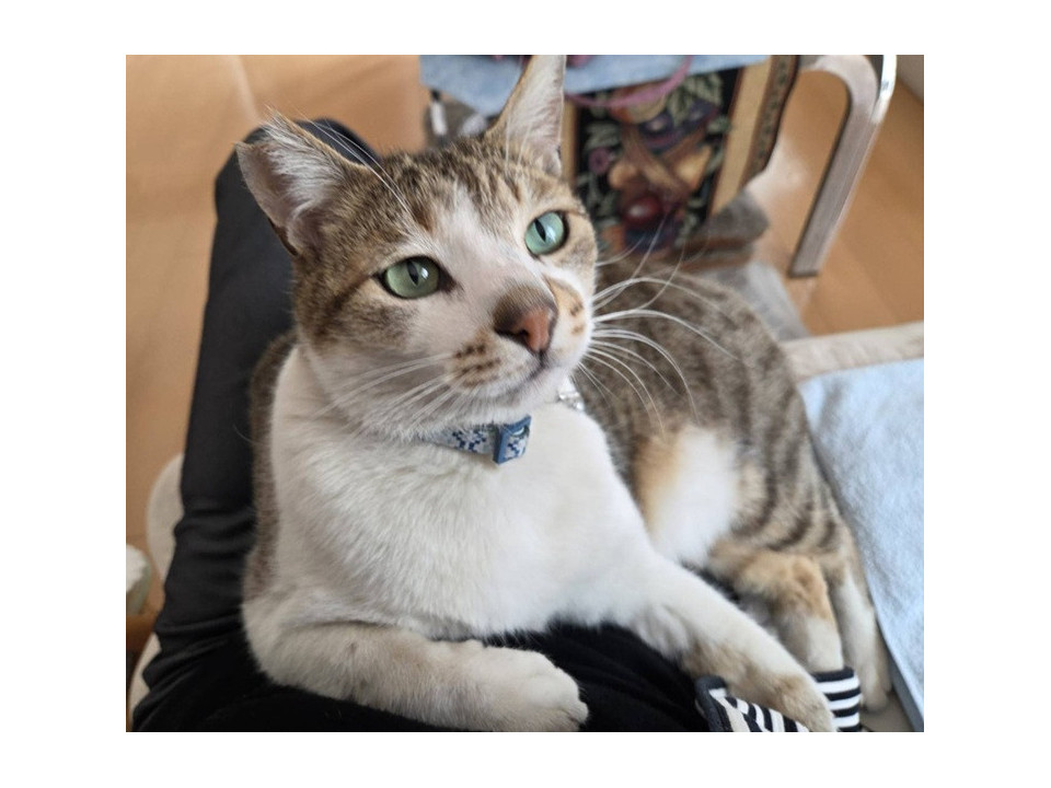 超甘えん坊でやきもち焼きのきー君