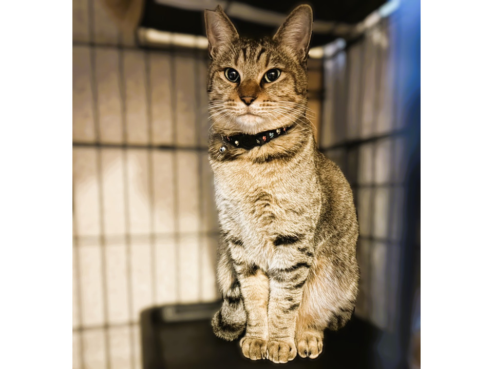 ◆12/27◆人大好きイケメンキジ男子❤