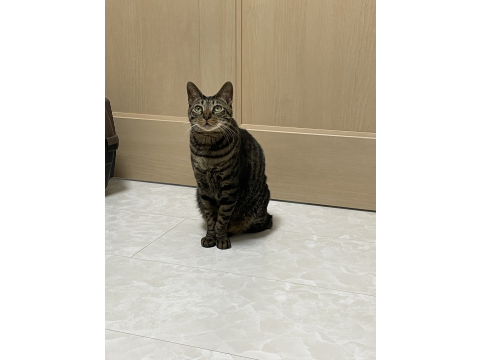 心優しき男の子です♪