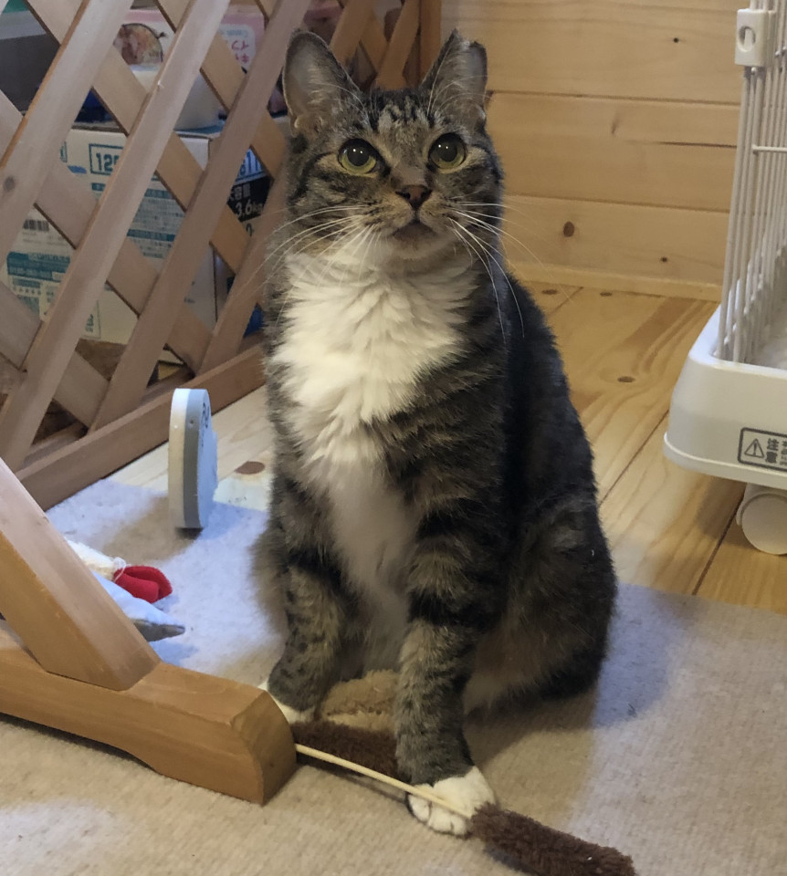 これからは幸せいっぱいで生きてほしい