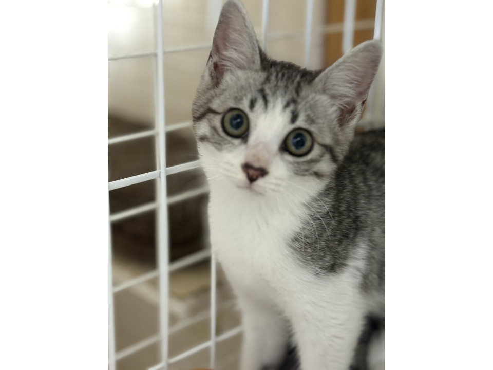 オートバックスにてレスキュー