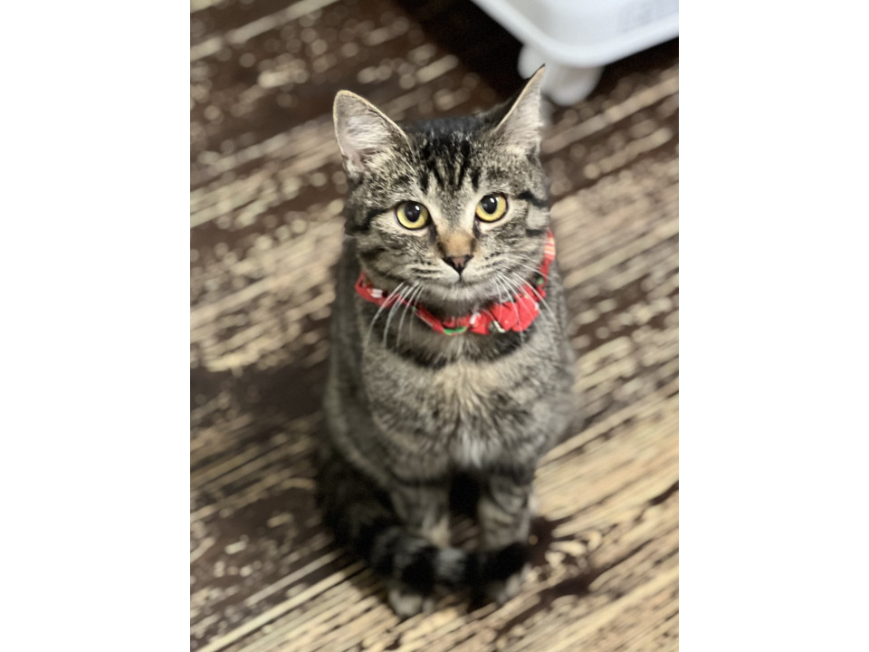 可愛い小さめおとこのこ