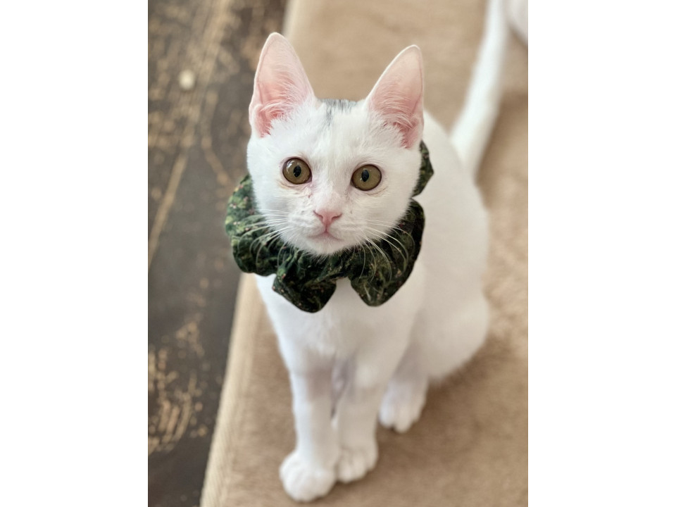 ひと味違う魅力があります！