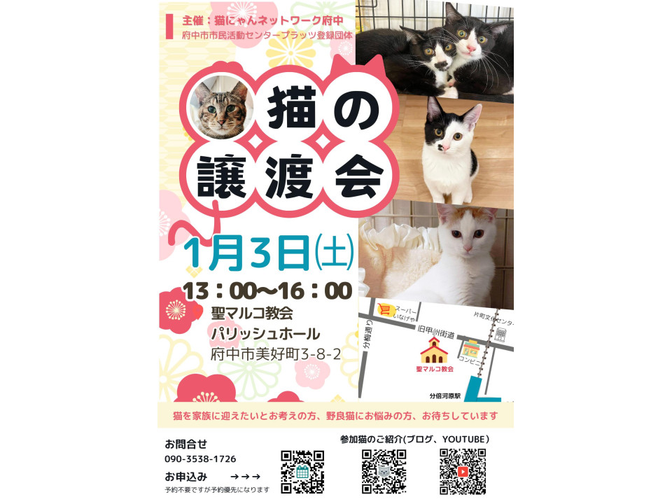 うらねこ様 完成品ご確認ページ☺︎ 猫]東京都府中市の里親募集 なえ,5ヵ月半♀個性的な三兄妹猫