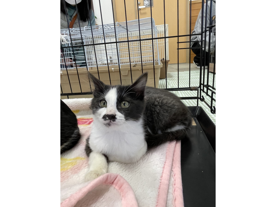 ちょっとふわふわしてる女の子