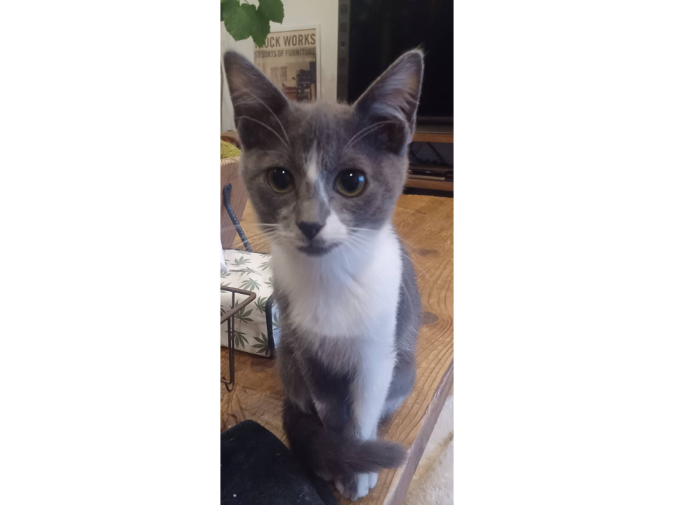 仲良し姉妹です