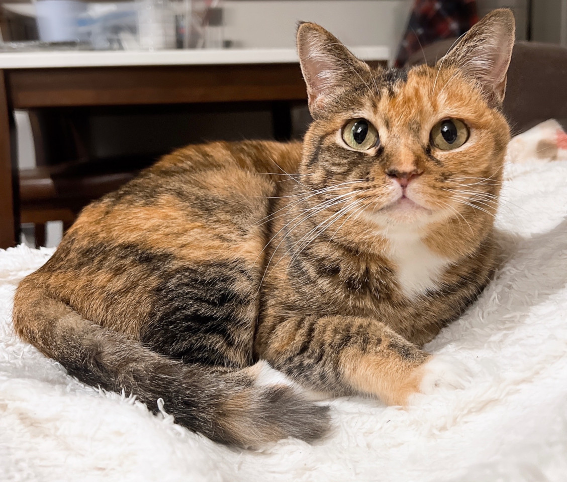 いつも一緒にそぼにいる女の子