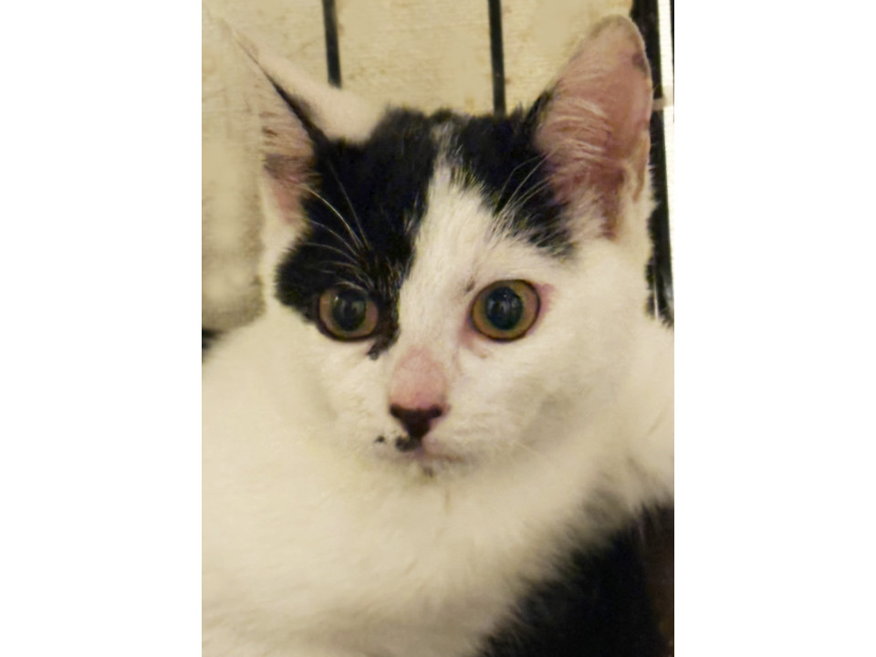 葉っぱ4ヵ月半♀陸海空の姉妹