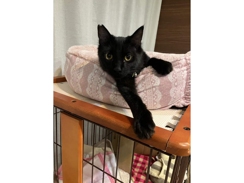 元気いっぱいの男の子です