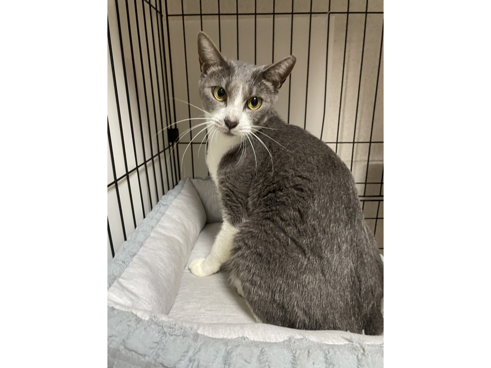 人が大好きで甘えん坊な女の子