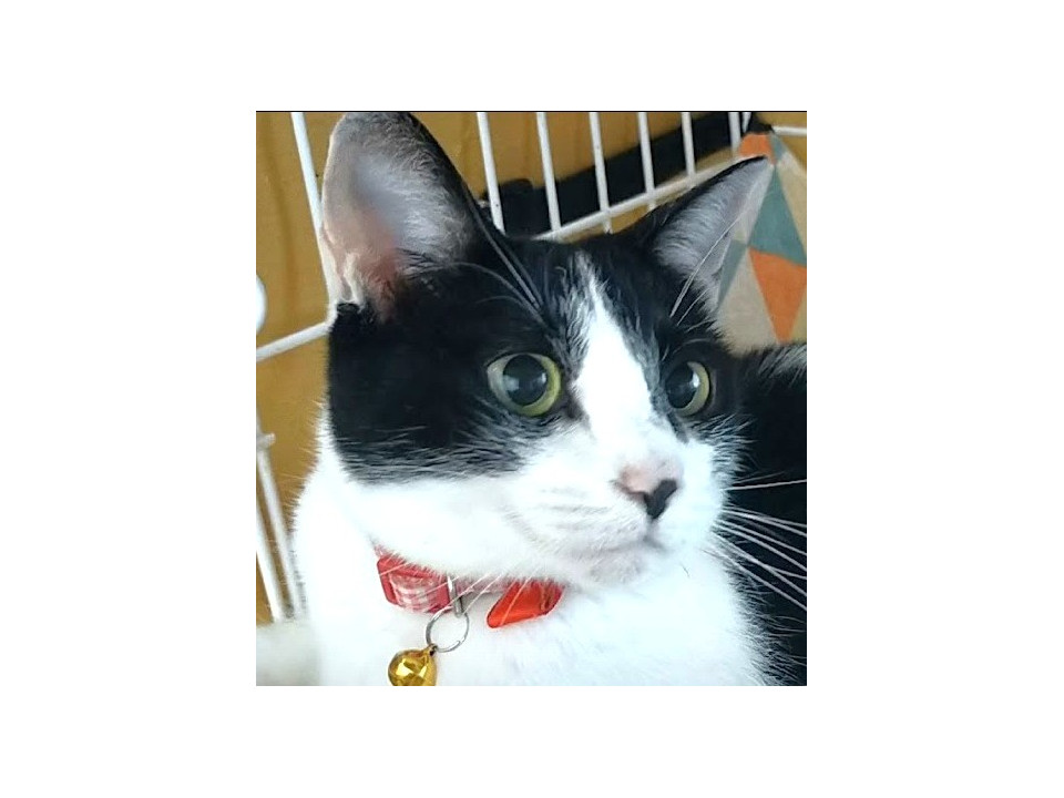 落ち着いた生活を望む人に☆小柄な女の子