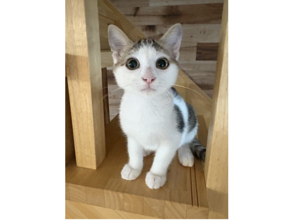 かわいいつきちゃん❣️