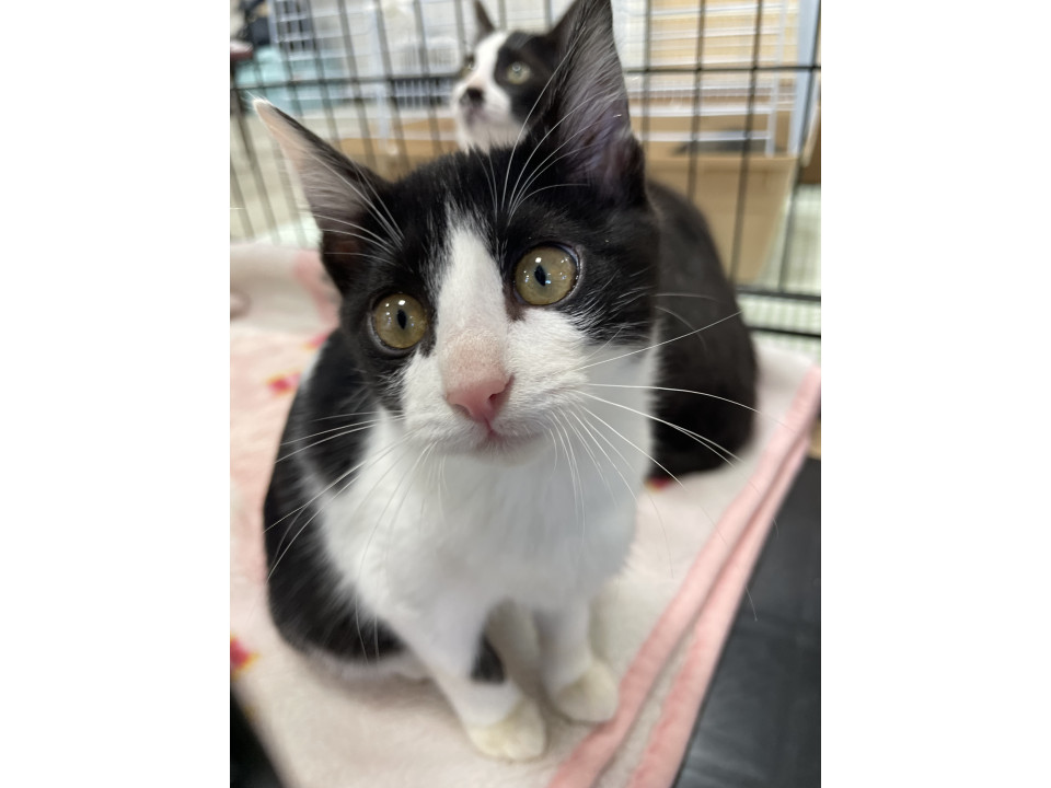 抱っこなでなで大好き女子