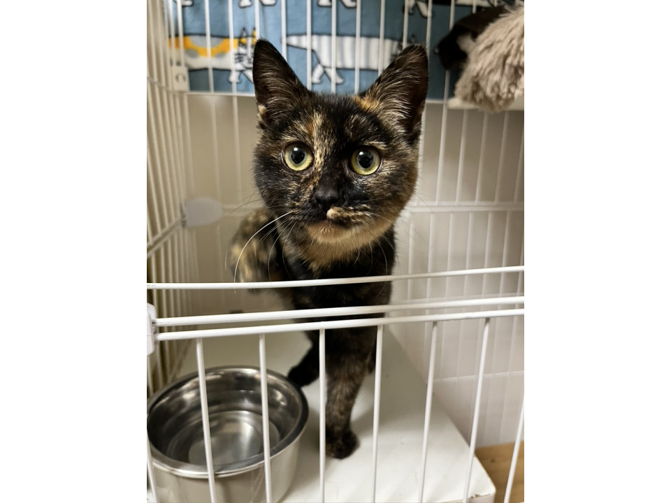 スリゴロ膝乗り☆３ヶ月☆